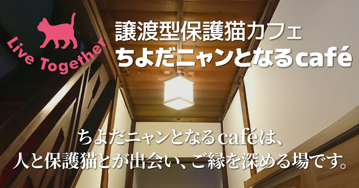ちよだニャンとなるCafe