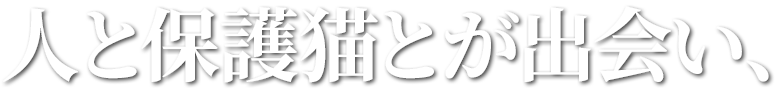 人と保護猫とが出会い、